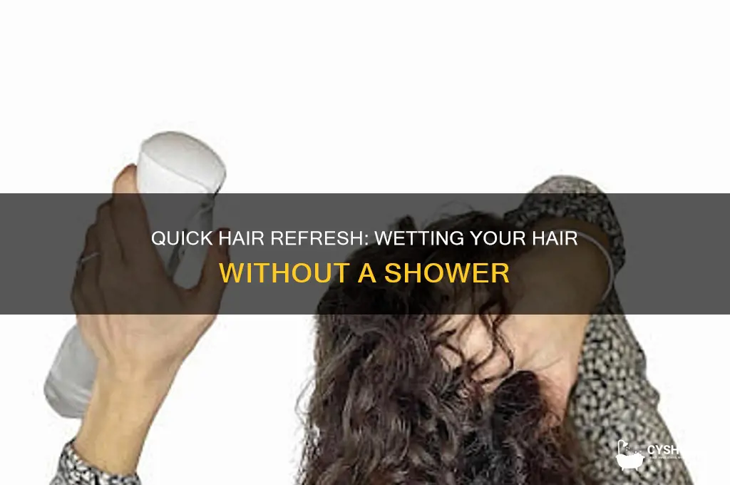how to wet hair without shower