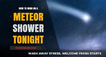 Catch a Falling Star: Your Guide to Meteor Shower Wishes Tonight