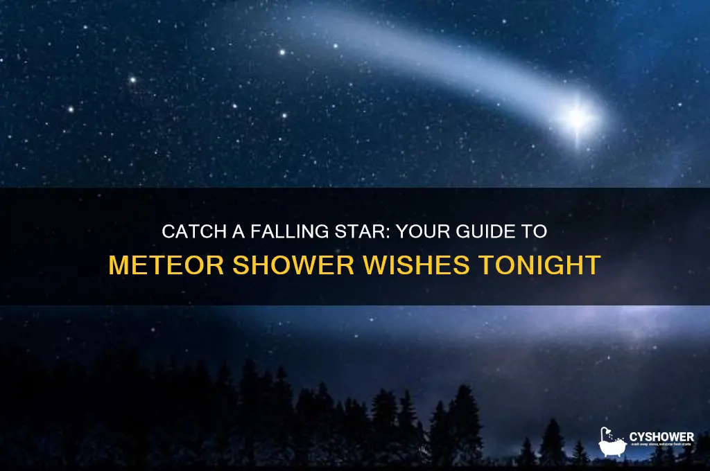 how to wish on a meteor shower tonight