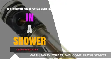 Easy Guide to Replacing a Moen 1225 Shower Cartridge