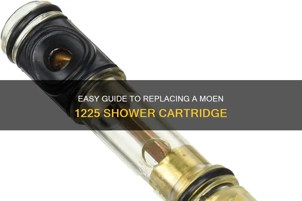 how toremove and replace a moen 1225 in a shower