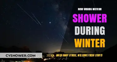 Winter's Ursids Meteor Shower: A Celestial Guide to December's Night Sky