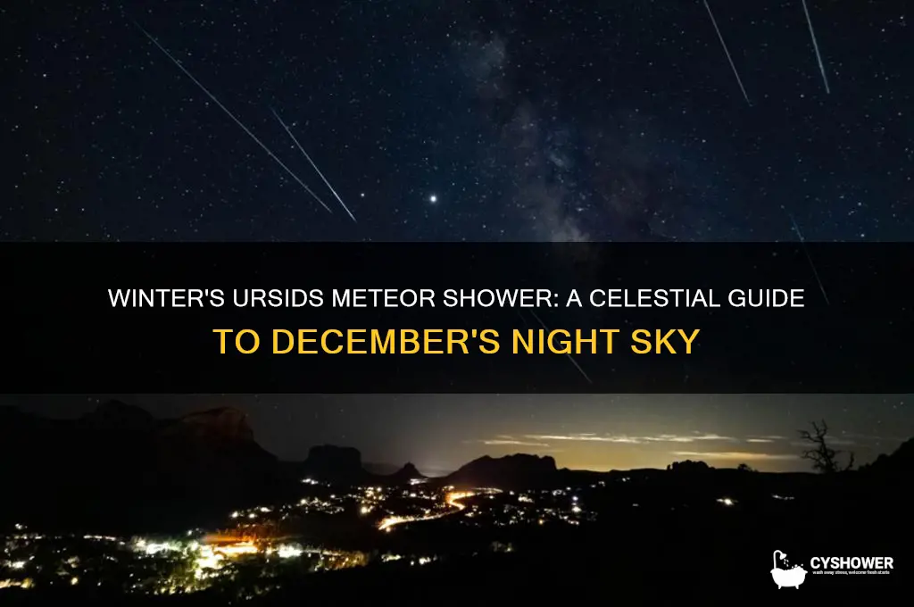 how ursids meteor shower during winter