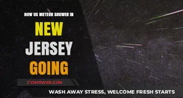 New Jersey's Meteor Shower: A Celestial Spectacle in the Garden State