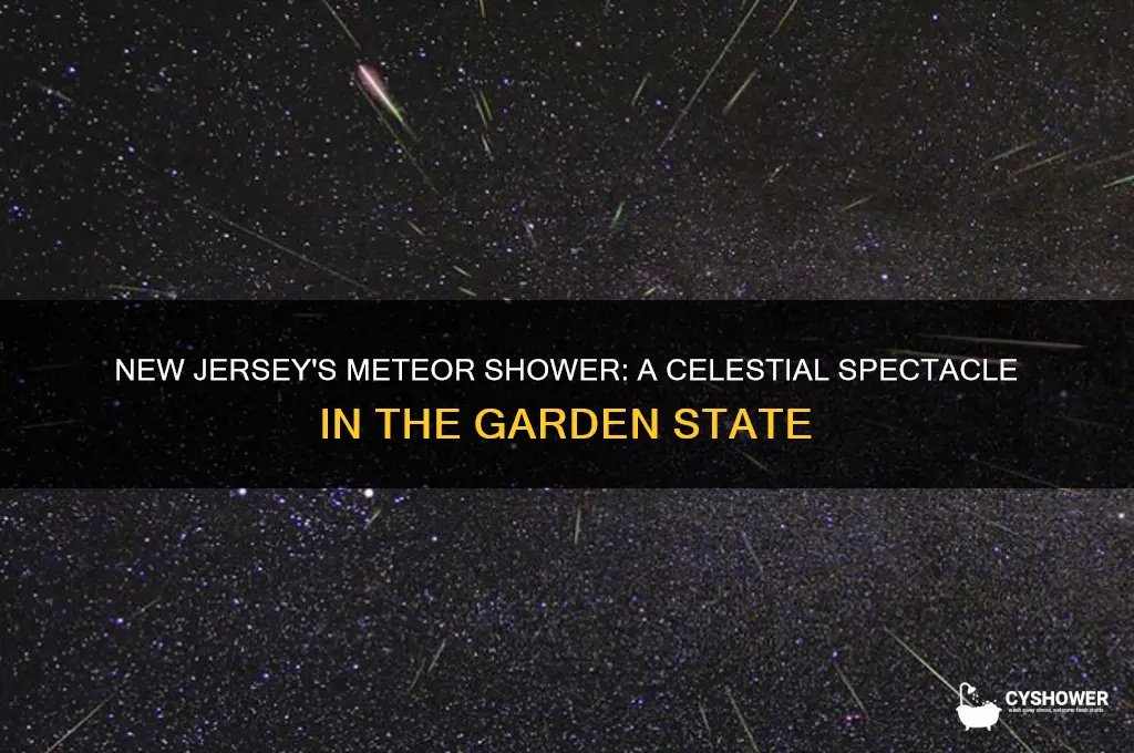 how us meteor shower in new jersey going
