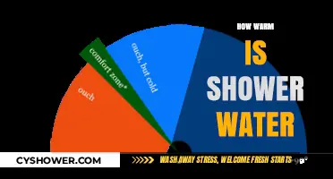 Ideal Shower Temperature: Finding the Perfect Warmth for Comfort and Safety