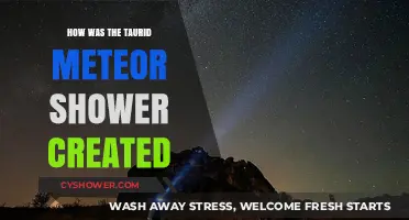 The Origins of the Taurid Meteor Shower: A Cosmic Journey