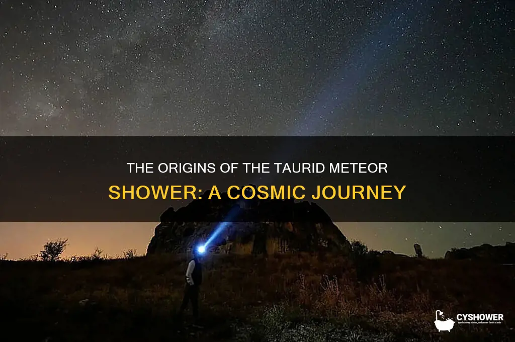 how was the taurid meteor shower created