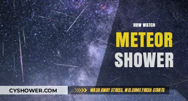 Stargazing Guide: How to Watch a Meteor Shower Like a Pro