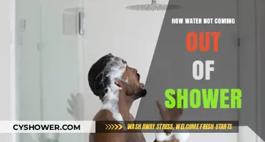 Why Your Shower Isn’t Flowing: Quick Fixes for No Water