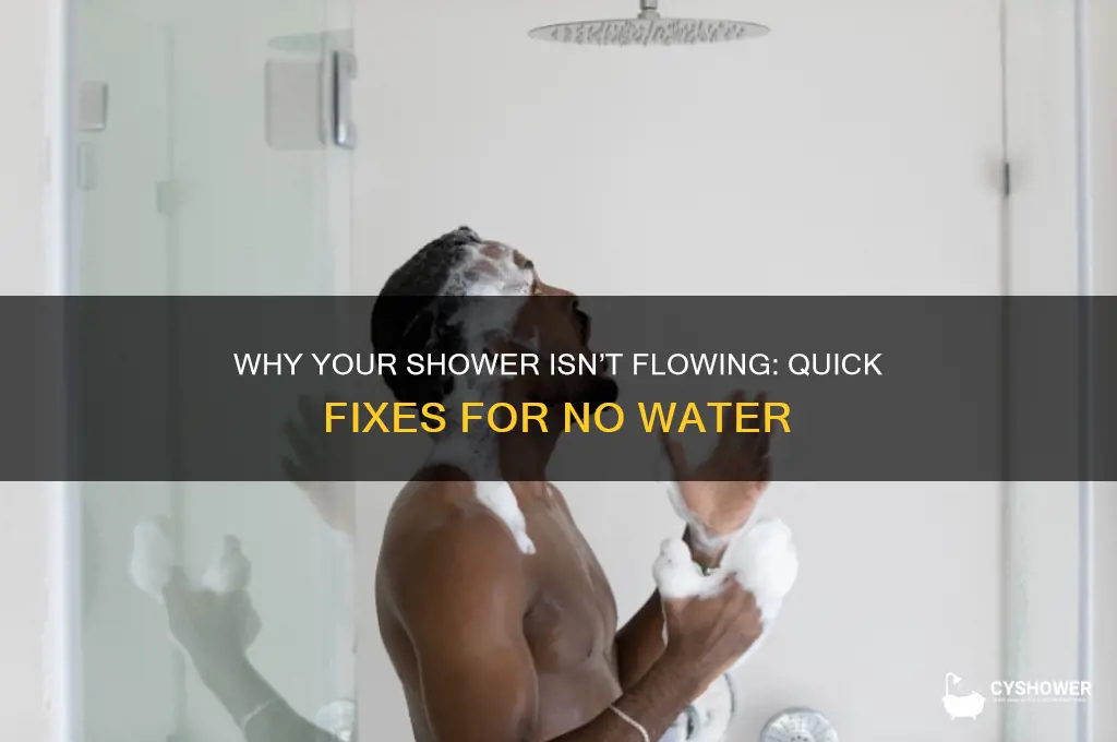 how water not coming out of shower