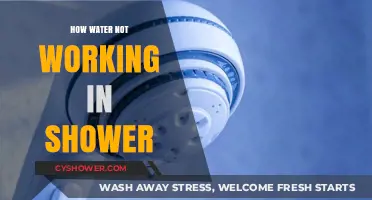 Troubleshooting Shower Water Issues: Why Your Shower Isn't Working