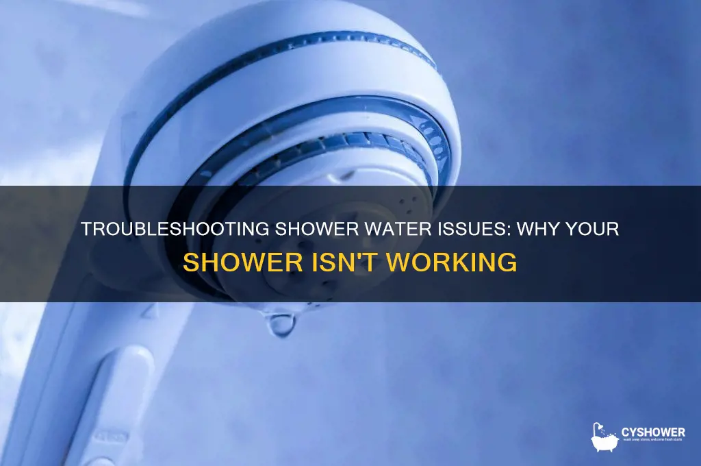 how water not working in shower