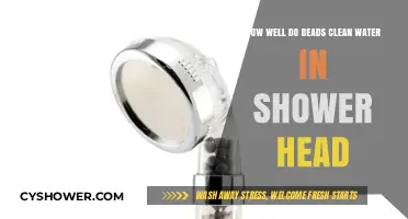 Beads in Shower Heads: Effective Water Cleaning Solution or Myth?