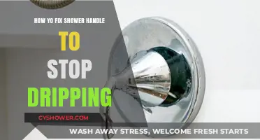 Quick DIY Guide: Repair Your Dripping Shower Handle Easily