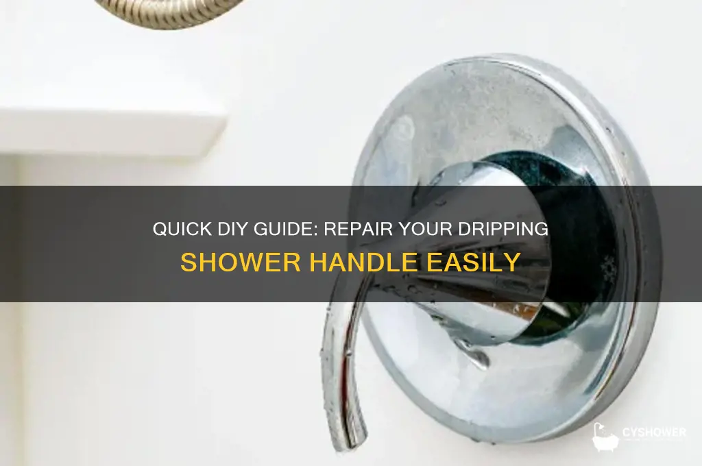 how yo fix shower handle to stop dripping