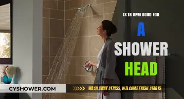 Is 18 GPM a Good Shower Head Flow Rate?