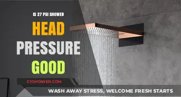 Is 27 PSI Shower Head Pressure Ideal for Your Bathroom?