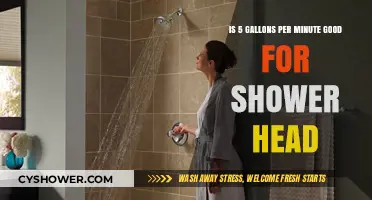 Is 5 Gallons Per Minute a Good Shower Head Flow Rate?