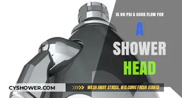 Is 80 PSI Optimal for Shower Head Performance and Flow?