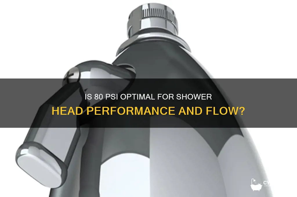 is 80 psi a good flow for a shower head