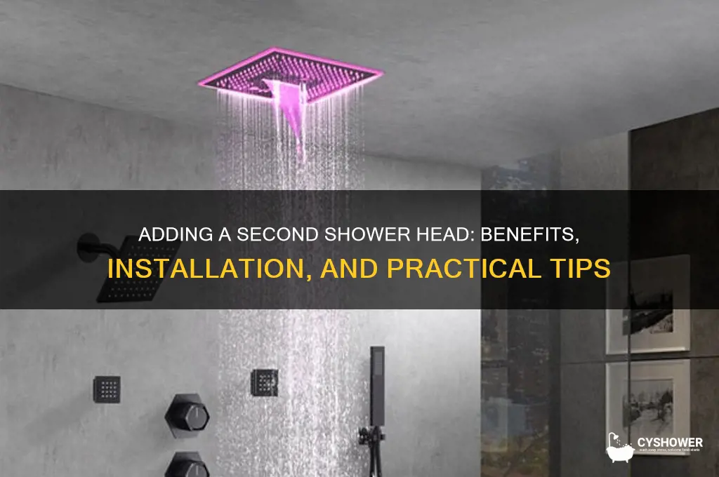 is a 2nd shower head