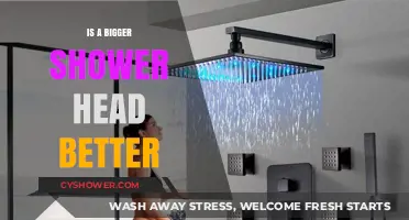 Bigger Shower Heads: Better Experience or Just a Waste of Water?