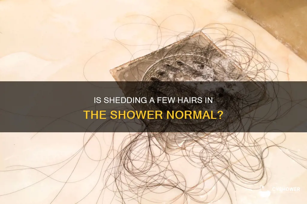 is a few hairs on the shower floor normal