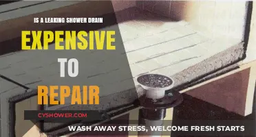 Leaking Shower Drain Repair: Costly Fix or Affordable Solution?