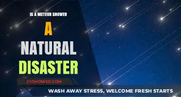 Are Meteor Showers Natural Disasters or Celestial Wonders?