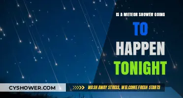 Will Tonight's Sky Light Up? Meteor Shower Possibility Explained