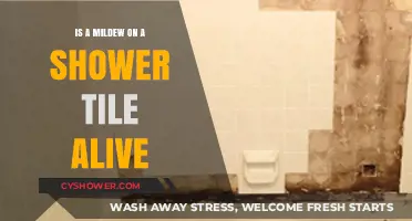 Is Shower Tile Mildew Alive? Uncovering the Truth Behind Bathroom Growth