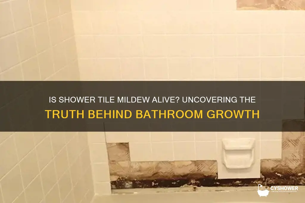 is a mildew on a shower tile alive