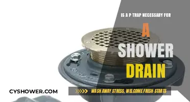 Is a P-Trap Essential for Your Shower Drain? Explained
