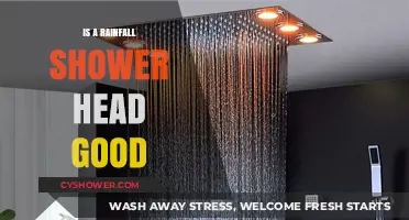 Rainfall Shower Heads: Are They Worth the Hype?