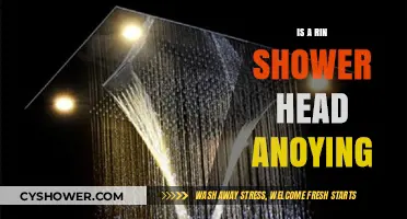 Is a Rain Shower Head Annoying? Pros, Cons, and User Experiences