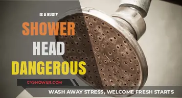 Rusty Shower Heads: Potential Health Risks and Safety Concerns Explained