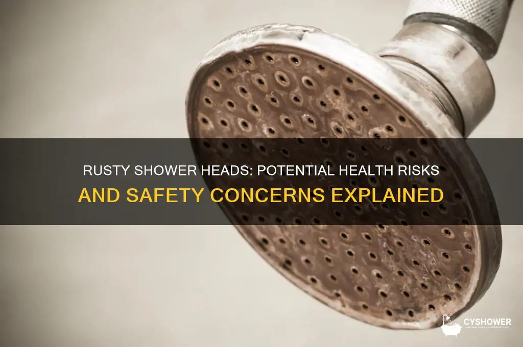 is a rusty shower head dangerous