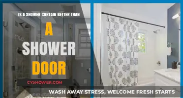 Shower Curtain vs. Shower Door: Which Bathroom Option Wins?