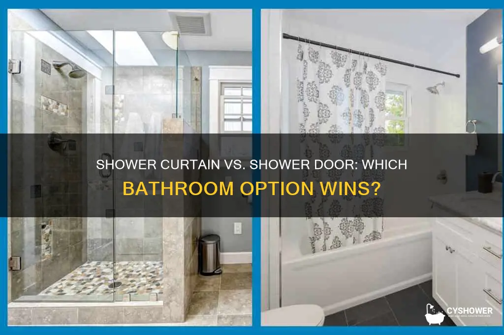 is a shower curtain better than a shower door
