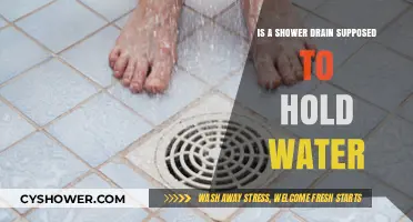 Is Your Shower Drain Supposed to Hold Water? Here's Why