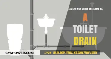 Shower vs. Toilet Drains: Are They the Same or Different?