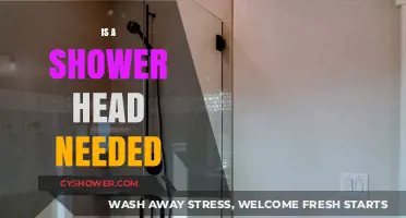 Do You Really Need a Shower Head? Exploring Alternatives and Necessity