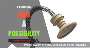 Shower in a Can: Revolutionary Concept or Unrealistic Dream?