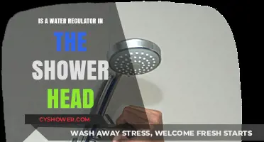 Should You Install a Water Regulator in Your Shower Head?