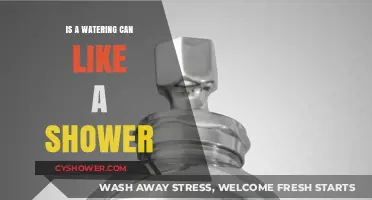 Watering Cans vs. Showers: Unveiling the Surprising Similarities and Differences