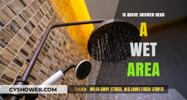 Is Your Above Shower Head a Wet Area? Understanding Bathroom Zones