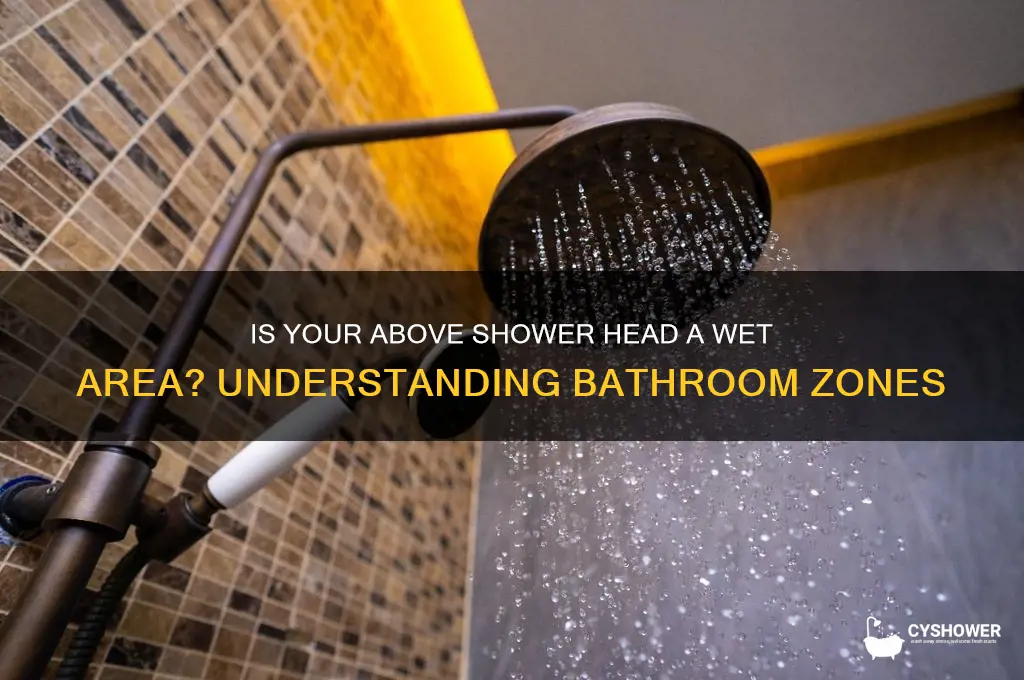is above shower head a wet area