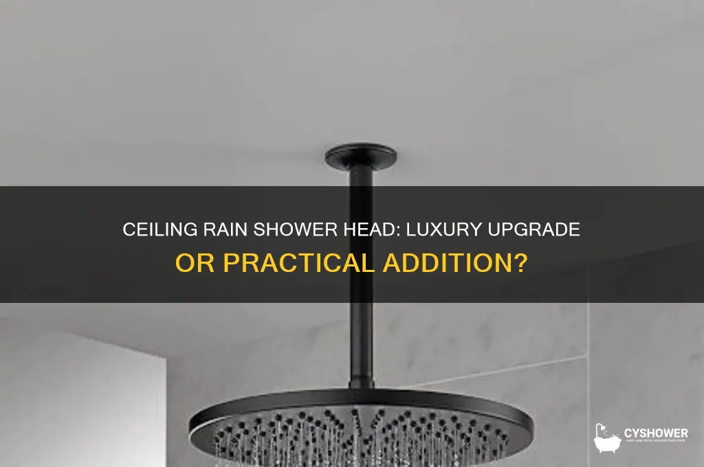 is adding a ceiling rain shower head worth it