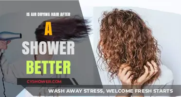 Air Drying vs. Blow Drying: Which Method Benefits Your Hair More?